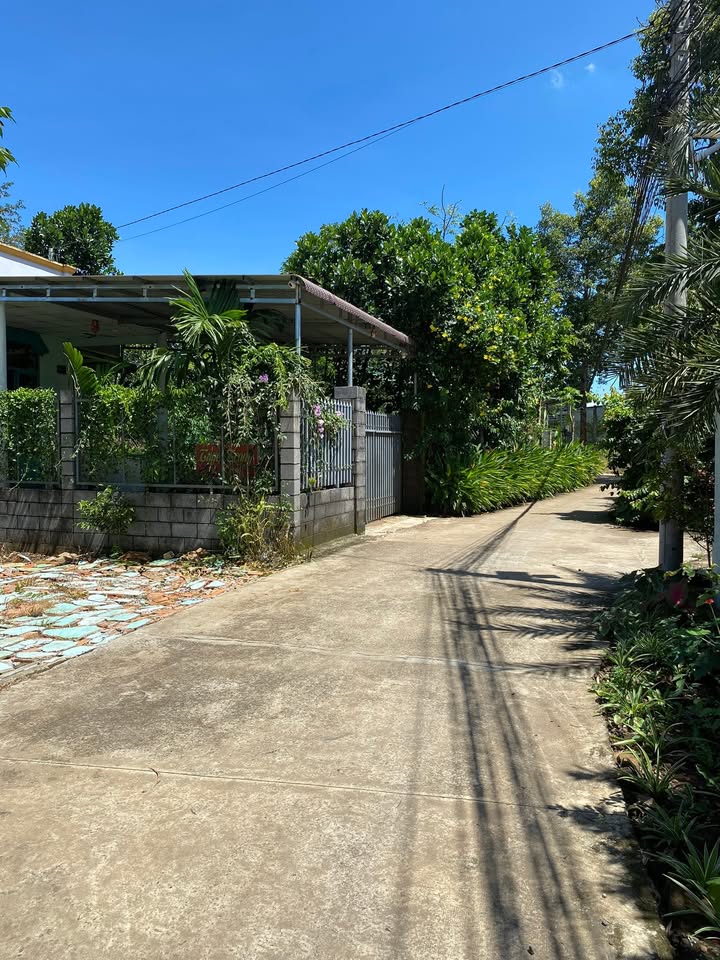 Đất nền Tân Phú, Định Quán 186m² giá 750 triệu - Đầu tư sinh lời ngay!