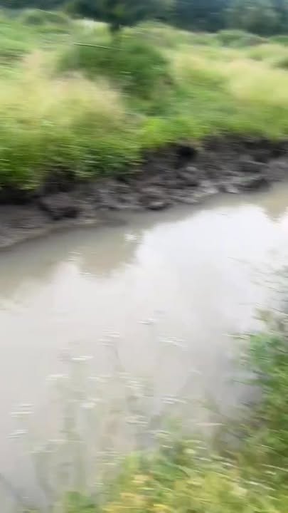 Farm đất Hậu Mỹ Phú Cái Bè 16.000m² giá 470 triệu - Sổ lâu năm, bớt Lộc nhanh gọn!