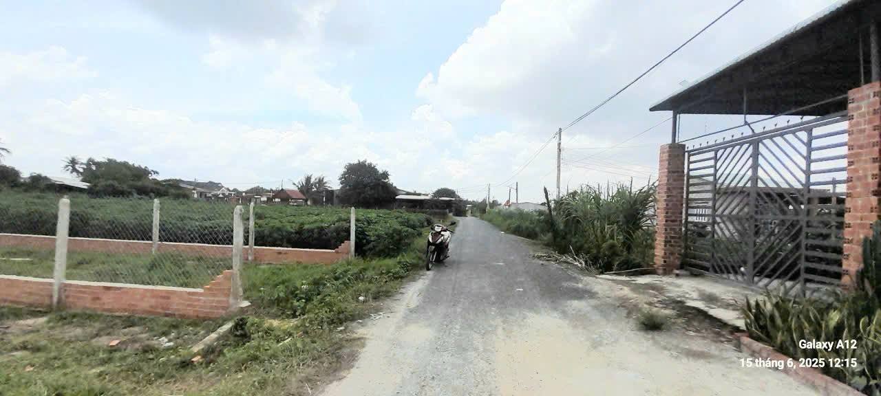 Đất nền khu phố Xóm Mới, Gò Dầu 180m² giá 800 triệu - Cơ hội đầu tư hấp dẫn!