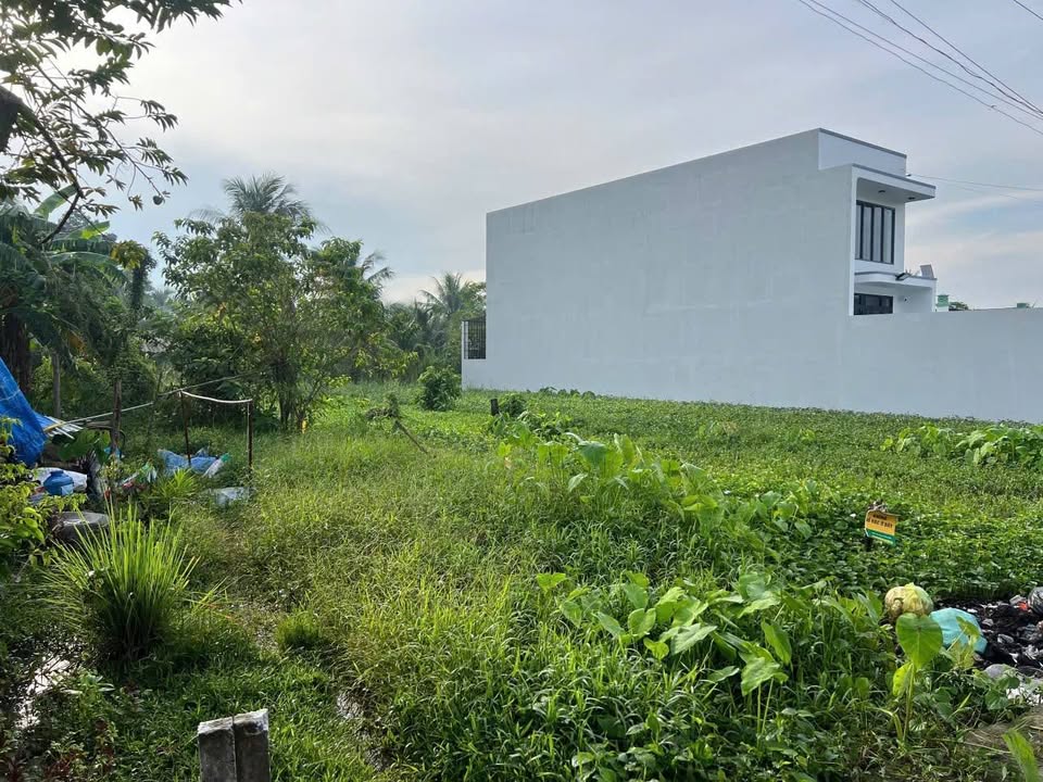 Đất nền 300m² tại Phú Kiết, Châu Thành - Giá chỉ 690 triệu, thương lượng!