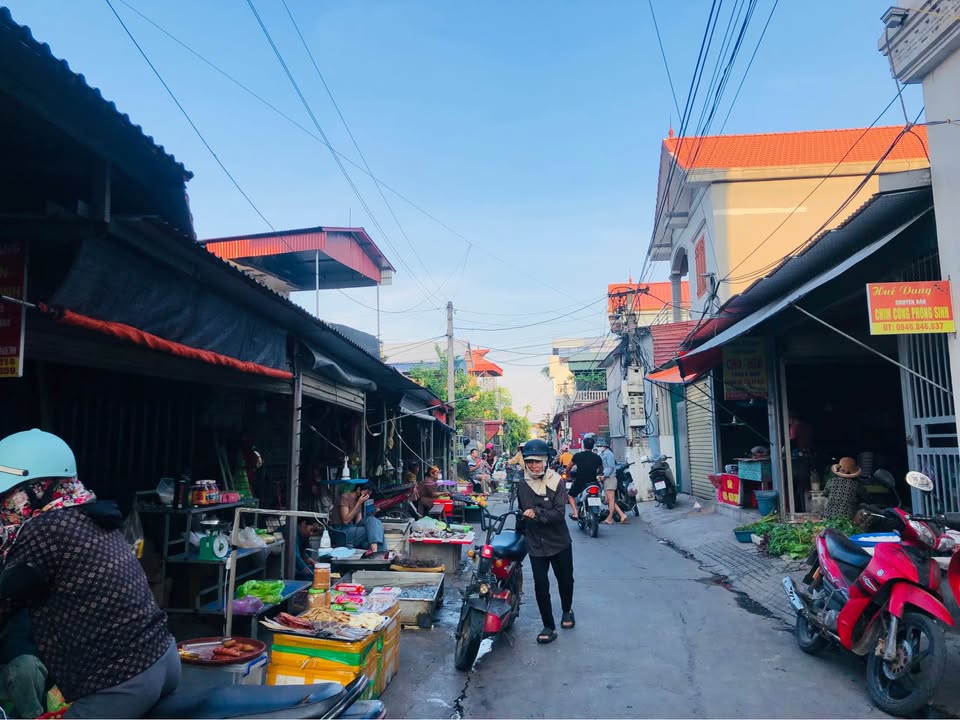 Đất nền Hiến Thành, Kinh Môn 84m² - Đường ô tô, giá chỉ 8xx triệu!