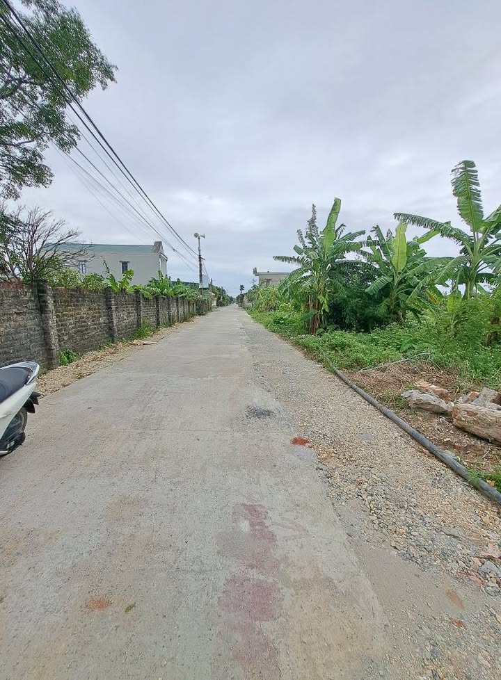 Đất nền Văn Hội, Ninh Giang, Hải Dương 200m² giá 1 tỷ - Mặt tiền 8m, cơ hội đầu tư tuyệt vời!