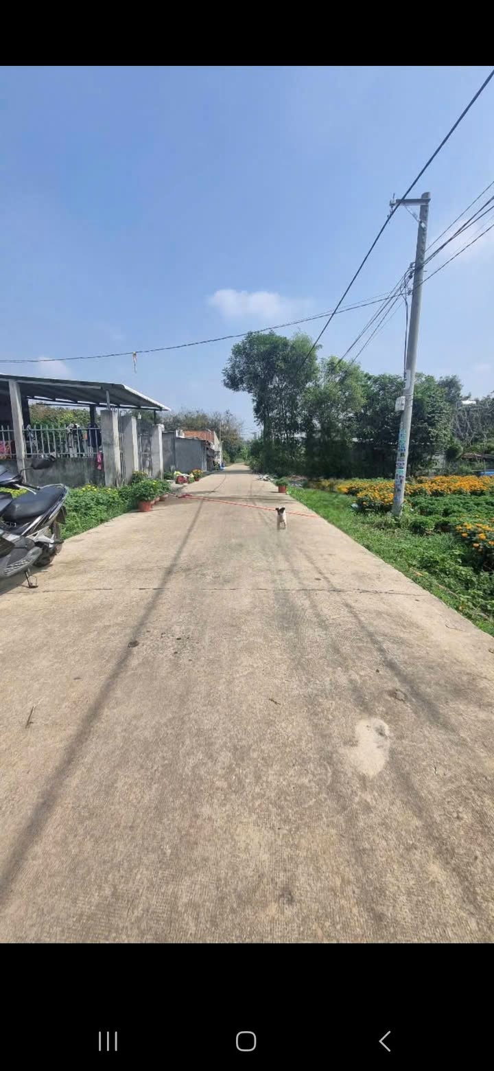 Đất Bến Tượng, Bến Cát 160m² giá 800 triệu - Cơ hội đầu tư sinh lời!