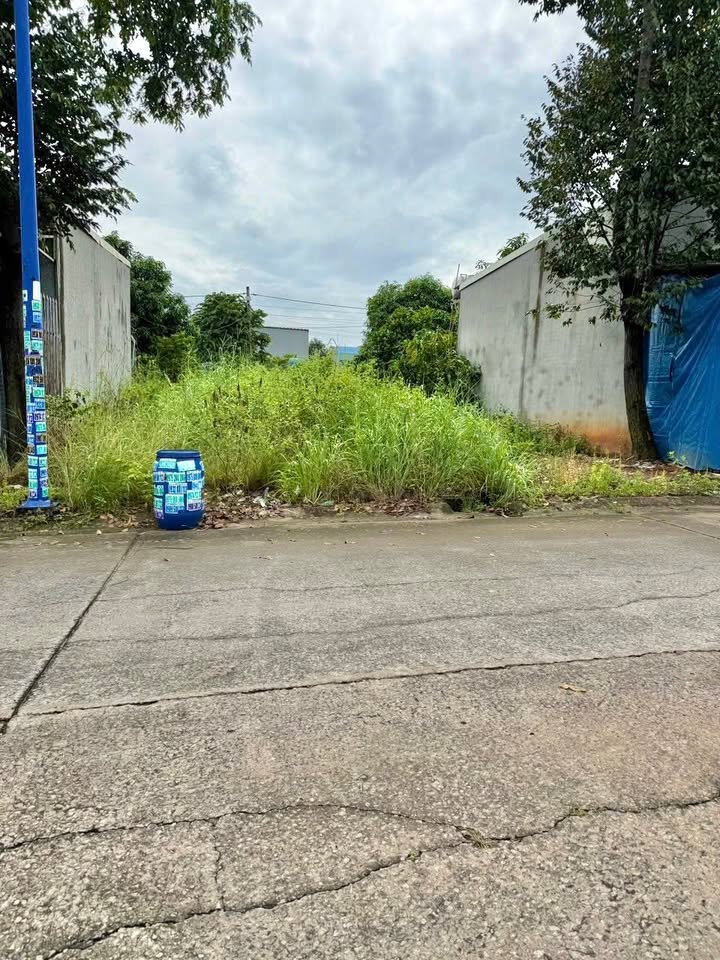 Đất nền 300m² đường DL12, phường Thới Hòa, Bến Cát - Giá chỉ 4 tỷ!