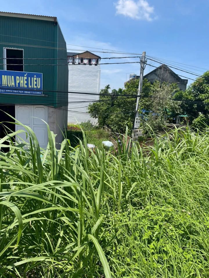 Đất nền Minh Nông, Việt Trì 90m² giá chỉ 2 tỷ - Cơ hội đầu tư tuyệt vời!