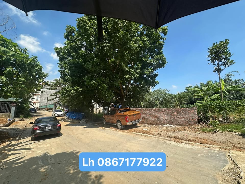 Đất nền 100m² tại phường Nông Trang - Giá 3 tỷ, vị trí đắc địa!