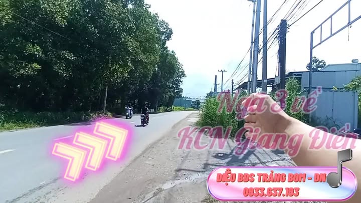 Nhà phố 2 mặt tiền đường Phùng Hưng, xã An Viễn, 223m² - Đầu tư sinh lời ngay!