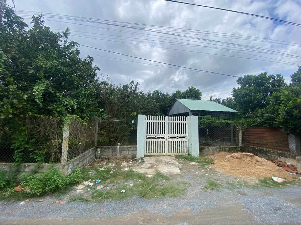 Vườn Bưởi 950m² tại Bình Lợi, Vĩnh Cửu chỉ 3.5 tỷ - Cơ hội đầu tư tuyệt vời!