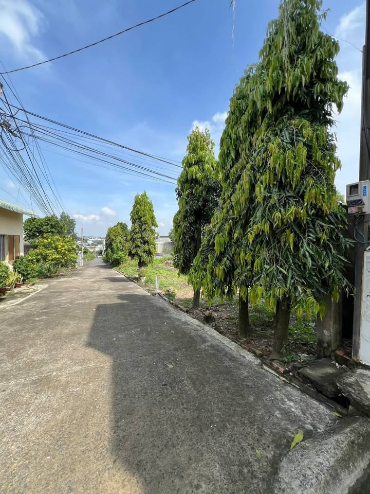 Đất cho thuê 1344m² tại khu phố 8 phường Long Bình - Giá chỉ 16 triệu/tháng!