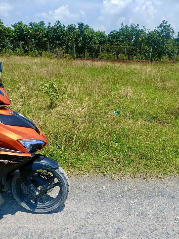 Đất nền xã Mỹ Hạnh Nam, Đức Hòa 100m² chỉ 800 triệu - Pháp lý sổ hồng chính chủ!