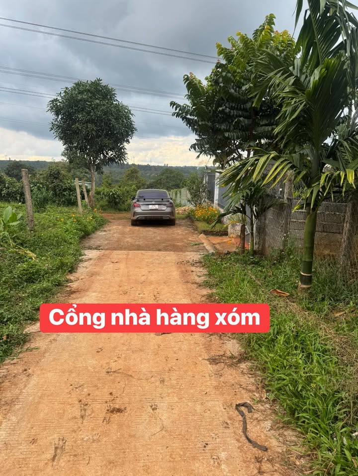 Đất nền thôn Tân Mai, xã Pơng Drang, 175m² giá 479 triệu - Cơ hội đầu tư sinh lời!