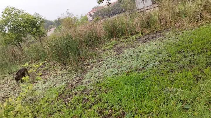 Đất nền tái định cư khu phố 4, Ninh Bình 200m² giá 1.5 tỷ - Vị trí vàng gần nhiều tiện ích!