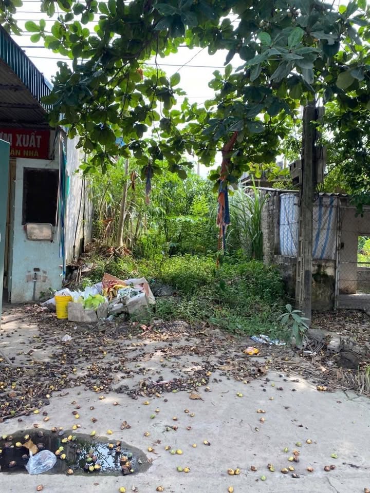 Đất nền đẹp tại Quốc lộ 12b, xã Ngọc Lương, 118m² - Kinh doanh sầm uất!