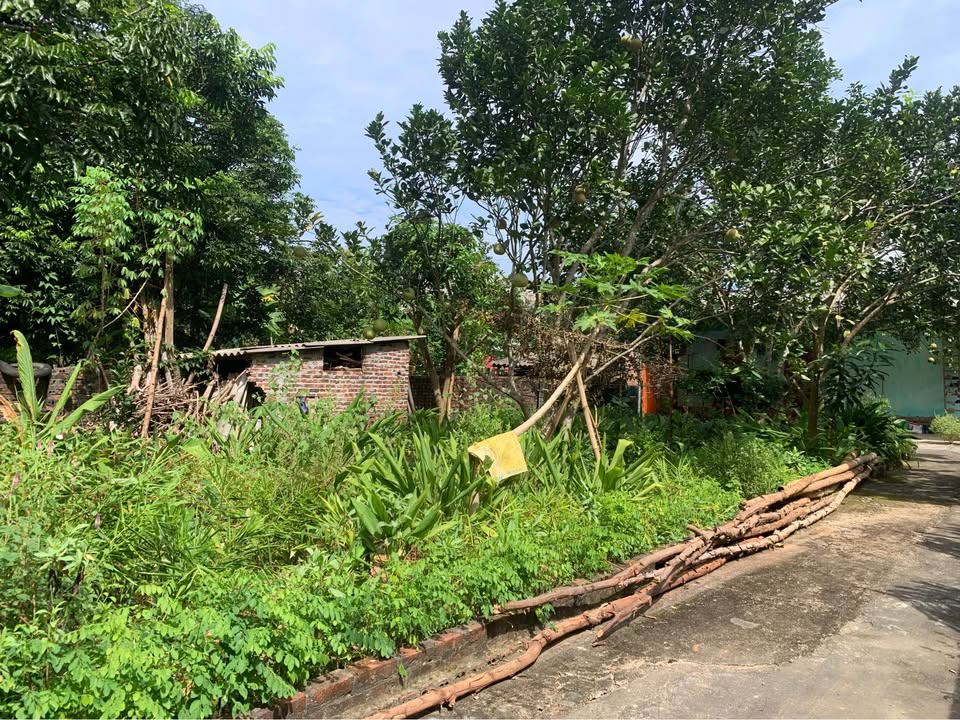 Đất nền đẹp 147m² tại xã Trung Môn, Yên Sơn chỉ 1.4 tỷ - Nhanh tay sở hữu!