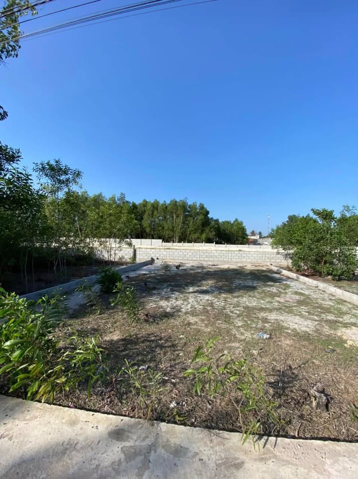 Đất nền hẻm ô tô đường Nguyễn Chí Thanh, La Gi 77m² - Giá chỉ 600 triệu, vị trí đẹp!