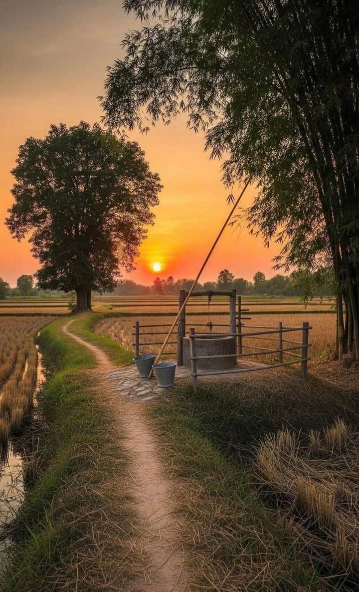 Đất thổ cư Bảo Vinh Long Khánh 220m² giá 420 triệu - Sổ hồng chính chủ!