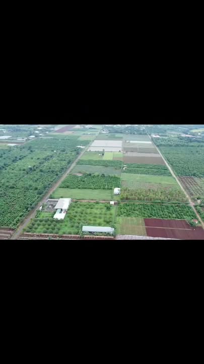 Đất nền đường Trương Định Pleiku 144m² giá chỉ 4 tỷ - Cơ hội đầu tư sinh lời!