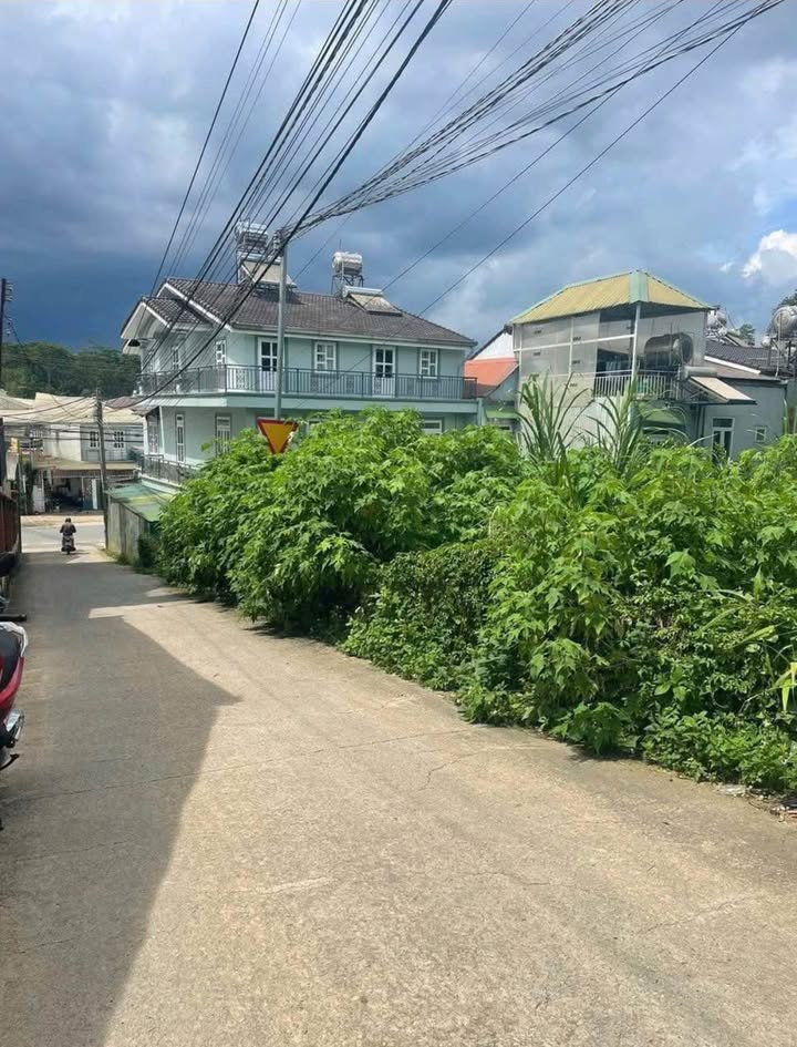 Đất nền 60m² đường Hồ Xuân Hương, Đà Lạt - Giá chỉ 2.5 tỷ, bán gấp!