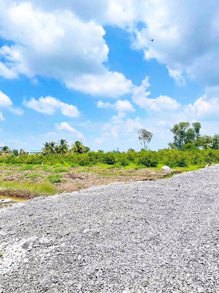 Đất vườn tại xã Bình Đức, Bến Lức, Long An - Diện tích 975m² chỉ 1.1 tỷ!