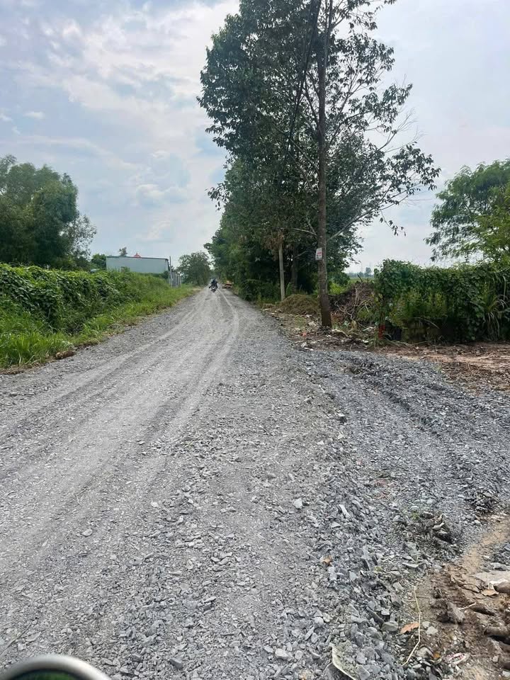 Đất 459m² tại Ấp 8, Xã Tân Thạnh Đông, Củ Chi - Giá 3,5 tỷ, Thương lượng linh hoạt!