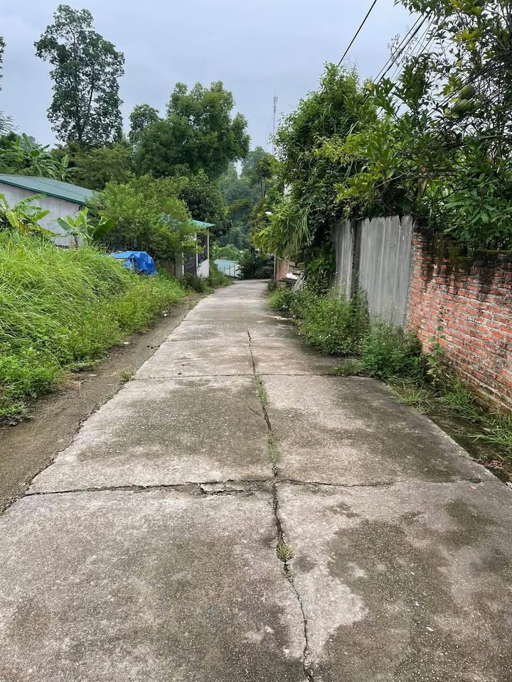 Đất nền Tân Giang Cao Bằng 78m² giá 600 triệu - Cơ hội đầu tư tuyệt vời!