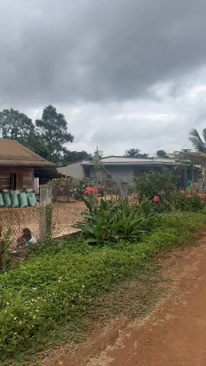 Đất thổ cư mặt tiền đường Đinh Núp, An Lạc, Buôn Hồ 203m² giá 1.75 tỷ - Vị trí trung tâm sầm uất!