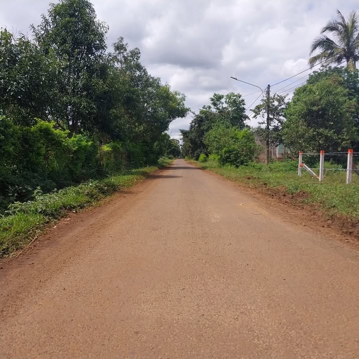 Đất nền mặt tiền đường Tôn Đức Thắng, xã Biển Hồ, 122.5m² - Giá 700 triệu, ngay khu du lịch!