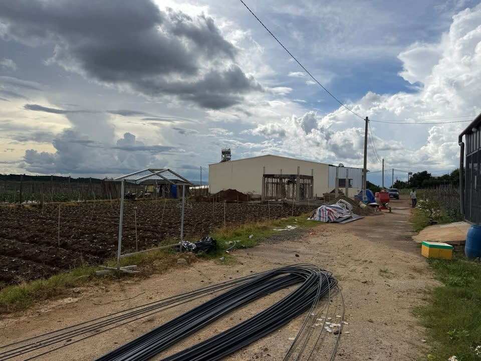 Đất 2 mặt tiền Tân Hội, Đức Trọng 114m² giá 895 triệu - Cơ hội vàng cho nhà đầu tư!