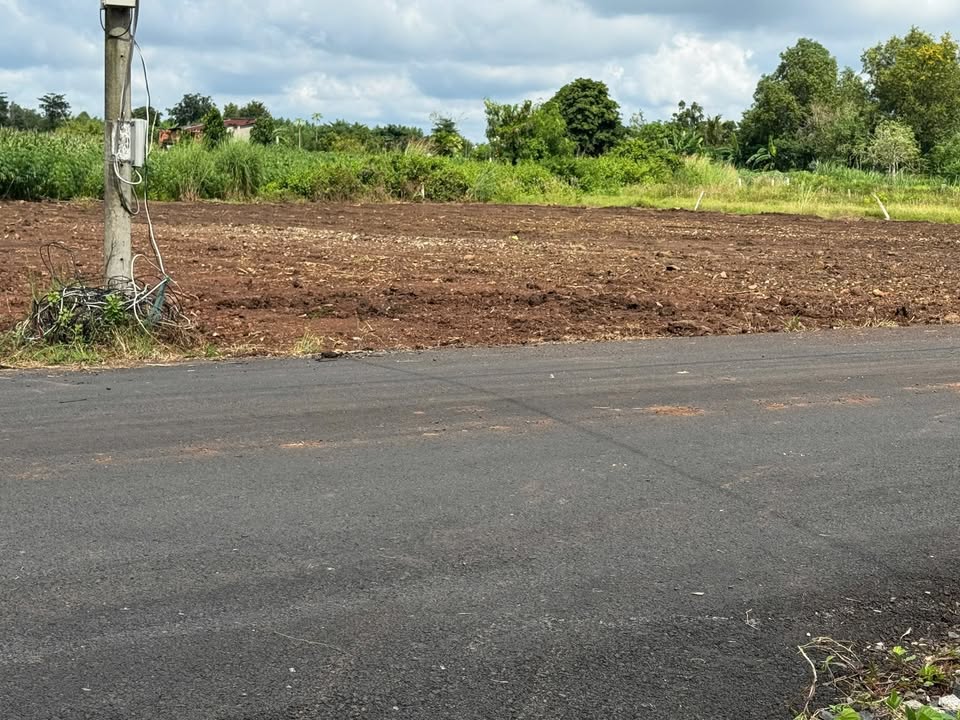 Đất thổ cư Đá Bạc, Châu Đức 200m² giá 500 triệu - Sổ hồng chính chủ!