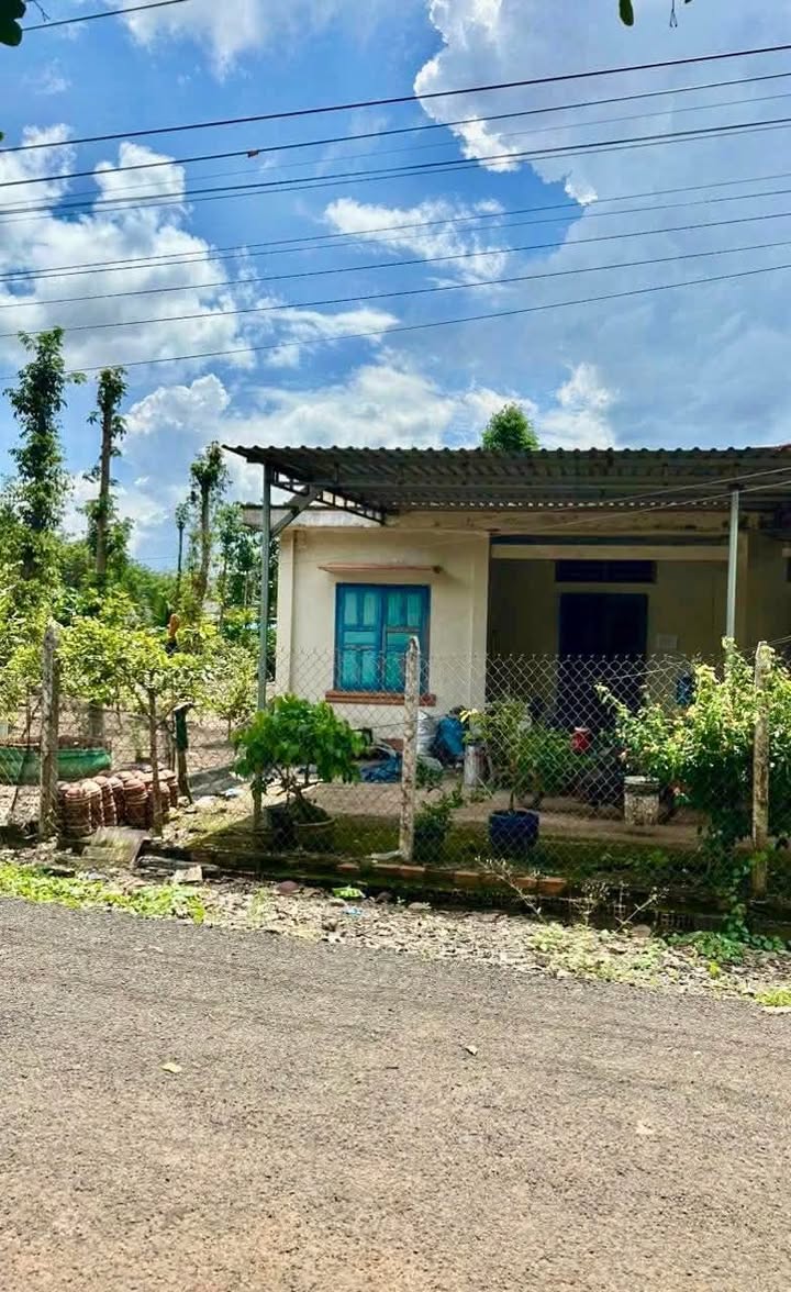 Nhà cấp 4 Hòa Hội, Xuyên Mộc, 196m² giá 600 triệu - Khu vực sầm uất, đầu tư sinh lời!