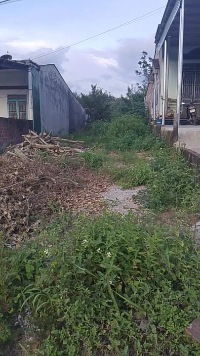 Đất thổ cư 240m² tại xã Đăk Nông, Ngọc Hồi chỉ 400 triệu - Đầu tư lý tưởng!