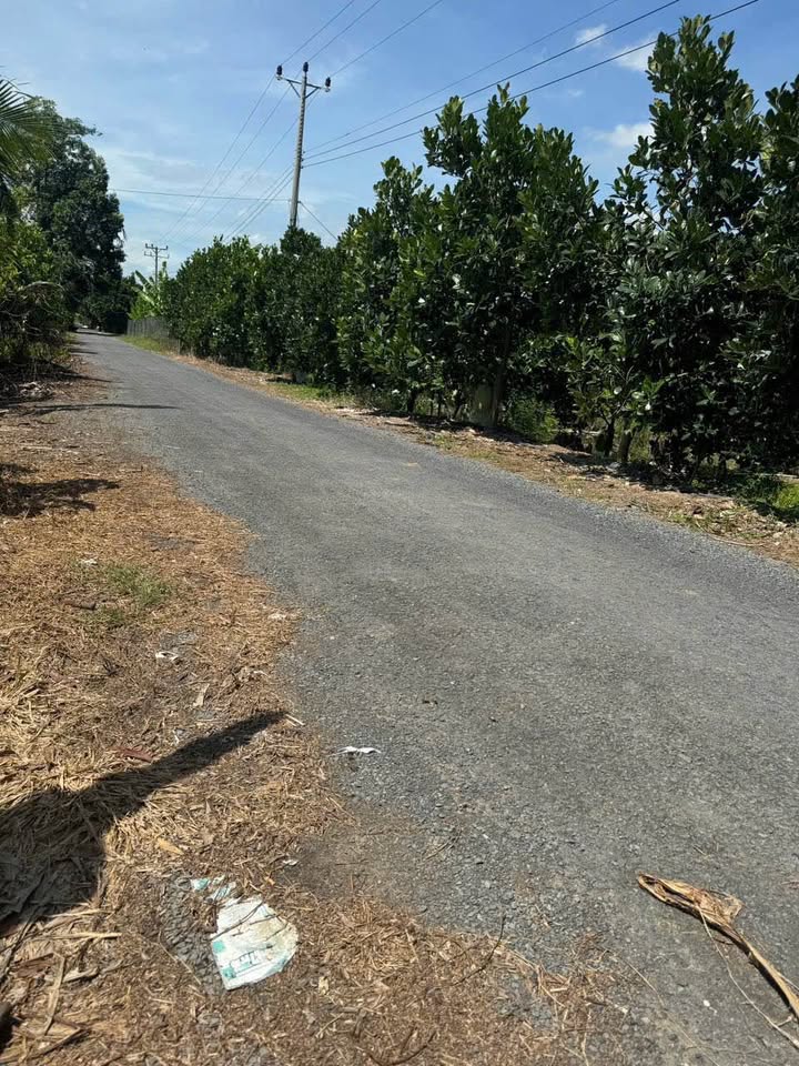 Đất nền xã Tân Nhuận Trung, Châu Thành, Đồng Tháp 1505m² - Giá chỉ 1 tỷ, cơ hội đầu tư tuyệt vời!