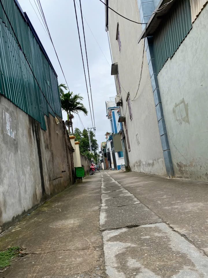 Đất Ngũ Hiệp, Thanh Trì 82m² giá 5 tỷ - Cơ hội đầu tư tuyệt vời!