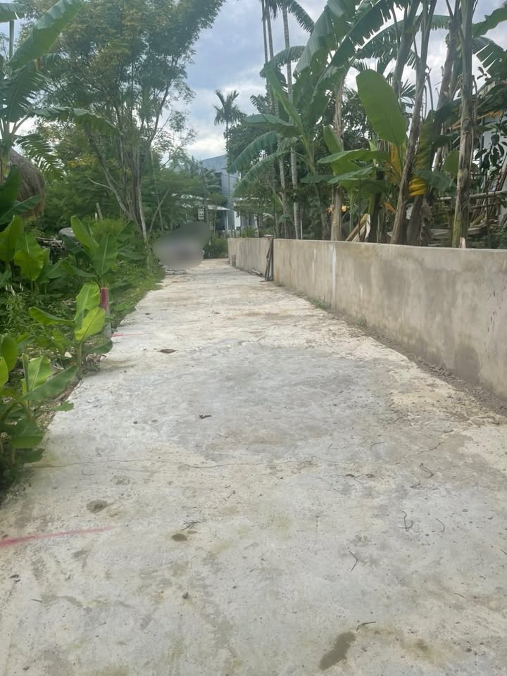 Đất kiệt ô tô La Bông, Hòa Tiến 100m² giá 1.1 tỷ - Đầu tư sinh lời ngay!