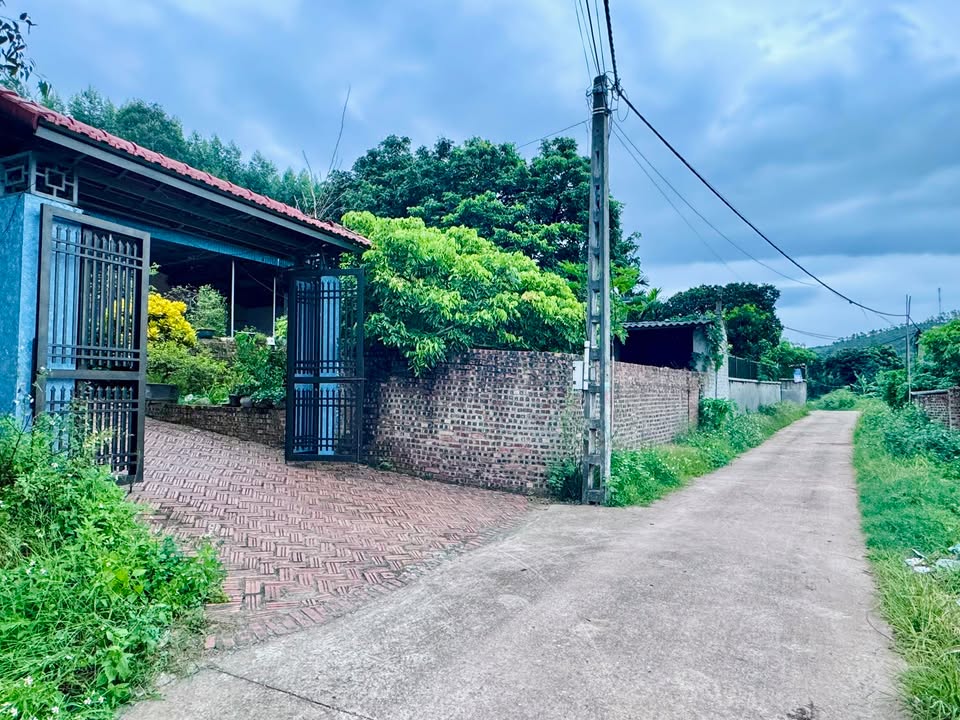 Đất nền Đan Hội Lục Nam 1223m² - Phân lô, tách thửa, giá thỏa thuận!