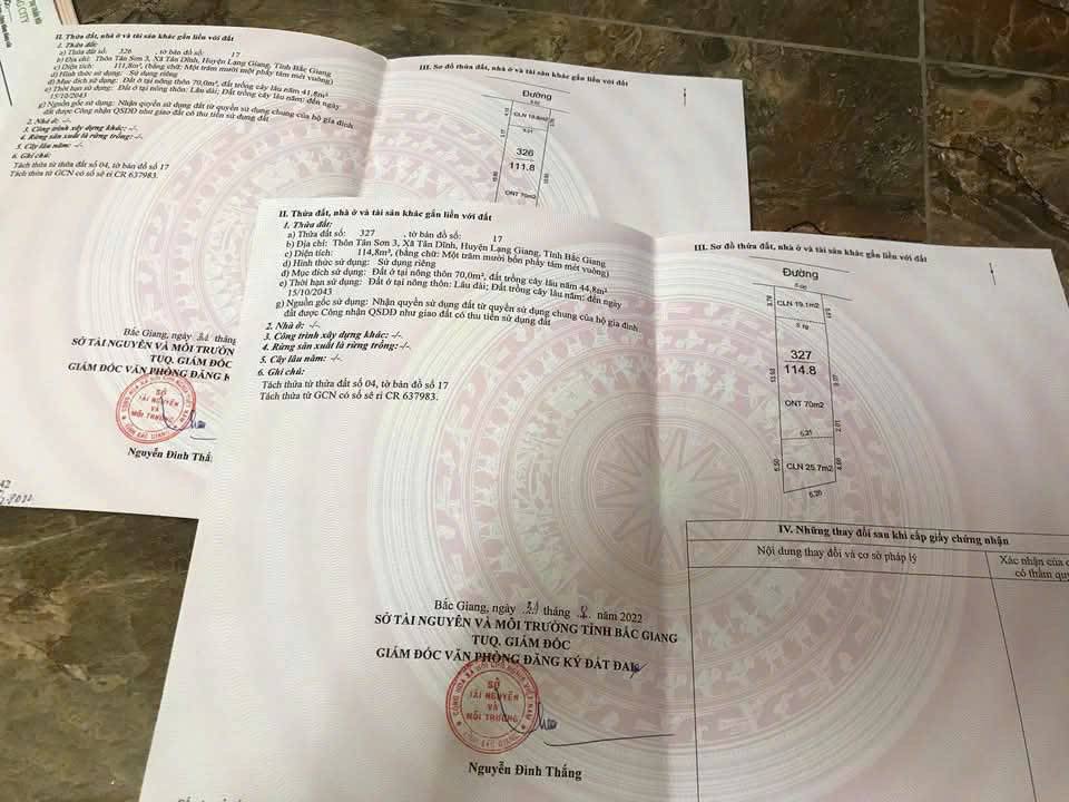 Đất chính chủ Tân Sơn 3, Lạng Giang, 112m² chỉ 1.3 tỷ - Cơ hội đầu tư hiếm có!