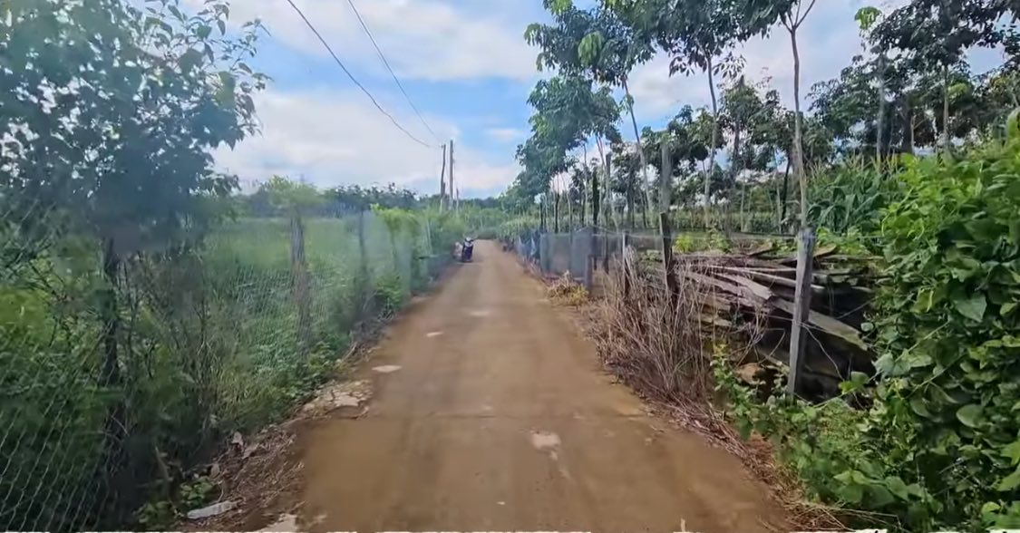 Đất nền 2100m² tại Thanh Hòa, Bù Đốp chỉ 350 triệu - Cơ hội đầu tư tốt!