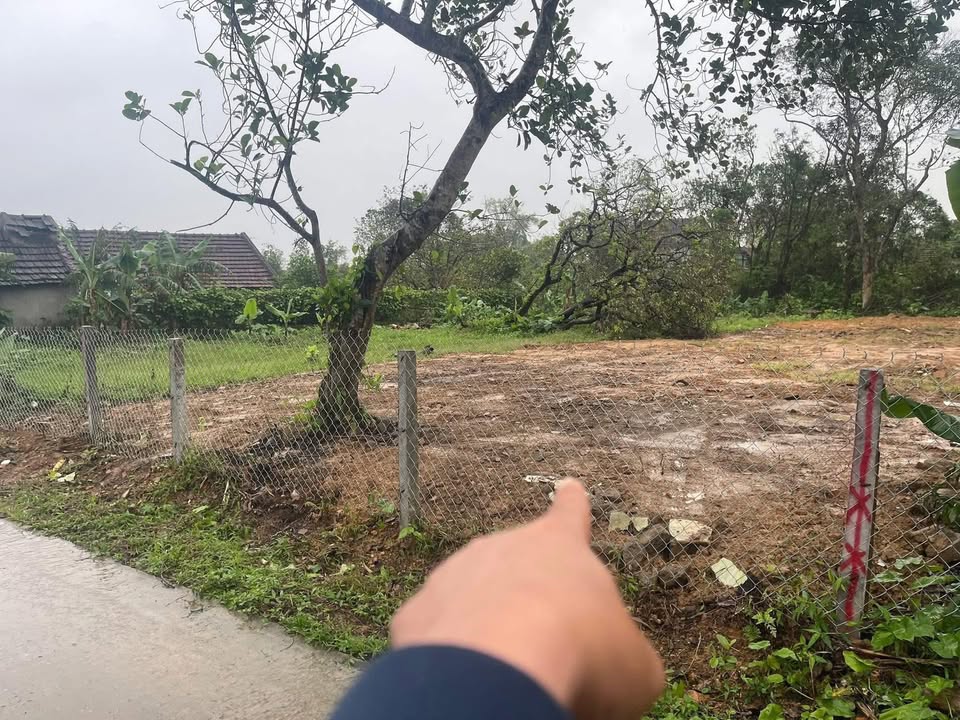 Đất nền Xóm 6 Nam Lĩnh 327m² giá 1 tỷ - Vị trí đẹp, cơ hội đầu tư hấp dẫn!