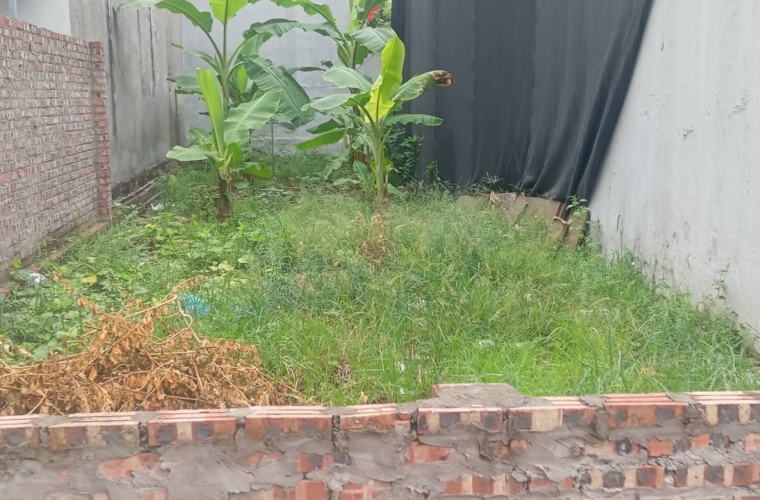 Đất Nguyên Khê 79m² giá thỏa thuận - Đầu tư ngay trước khi giá tăng!