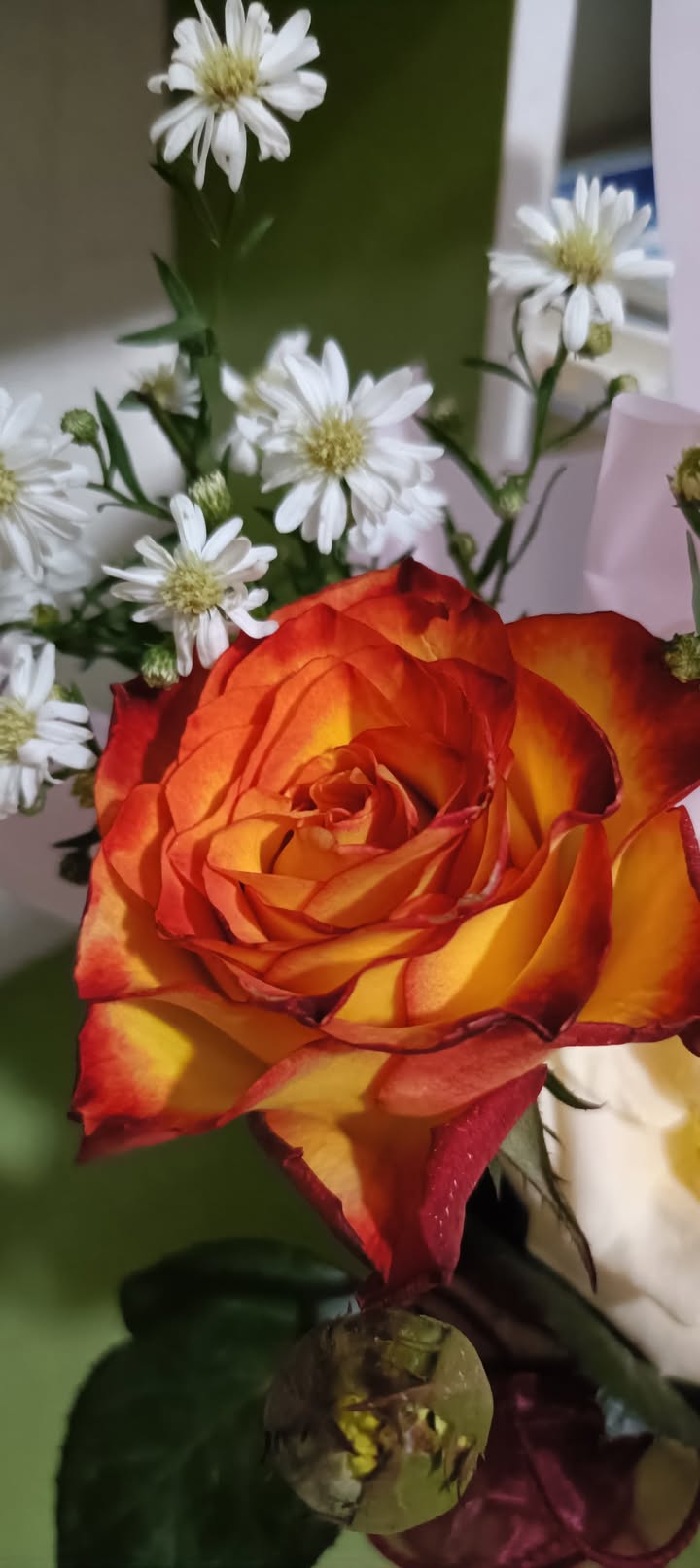 Đất thổ cư 140m² tại Lộc Thành, Bảo Lâm - Cần bán gấp chỉ 600 triệu!