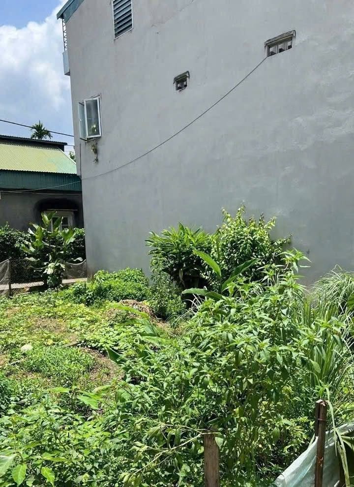 Đất Cổ Bi Gia Lâm 47m² giá 4 tỷ - Ngõ ô tô, tiện ích đầy đủ!