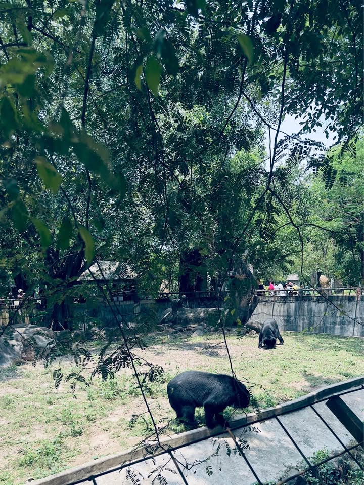 Nhà phố Long Khánh 125m² giá thỏa thuận - Sổ đỏ chính chủ, đầy đủ công năng!