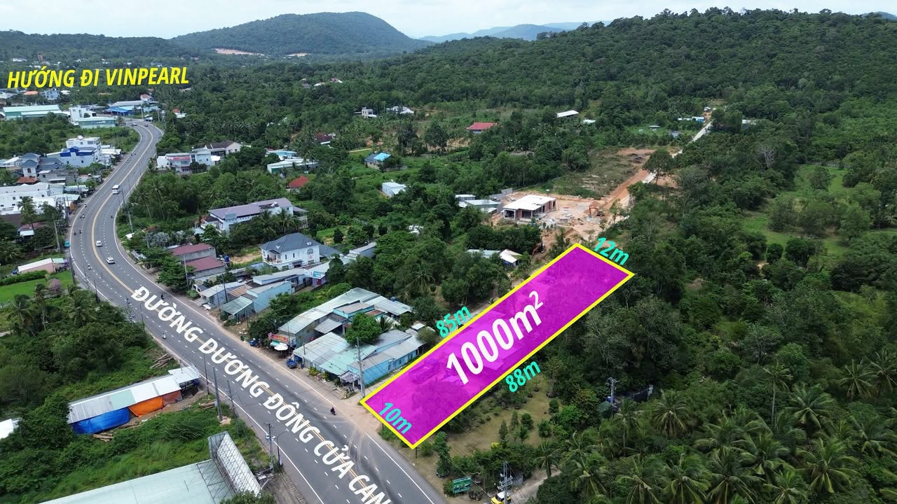 Đất 1000m² mặt tiền ĐT45, gần Khu 67HA - Cơ hội đầu tư tuyệt vời!