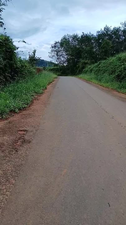 Farm 2,1ha tại xã Đắk Long, huyện Đắk Hà giá 3 tỷ - Đầu tư sinh lời hấp dẫn!