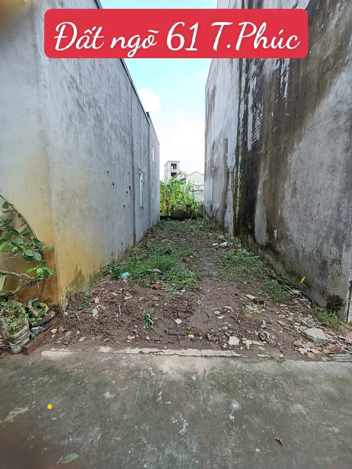 Đất thổ cư Thượng Phúc, Tả Thanh Oai 176m² giá 4.25 tỷ - Đầu tư sinh lời ngay!