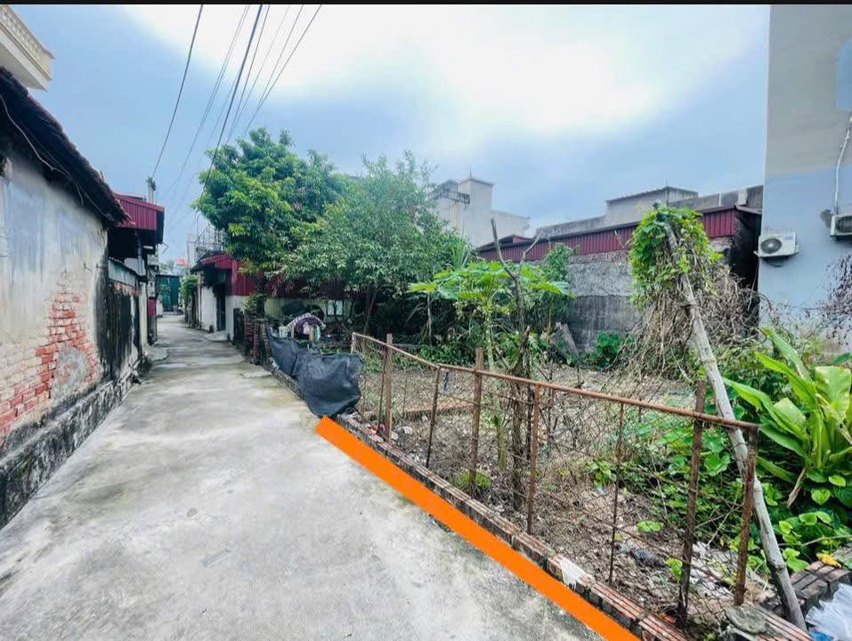 Lô đất đẹp Thôn Bùi Xá, xã Tam Hưng, 40m² giá 3.x tỷ - Đầu tư sinh lời ngay!