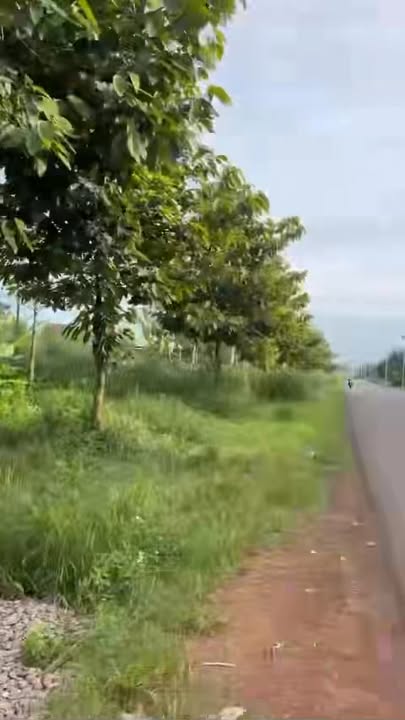 Đất nền mặt tiền đường Song hành, Gia Kiệm, 87m² giá 1.4 tỷ - Cơ hội đầu tư tuyệt vời!