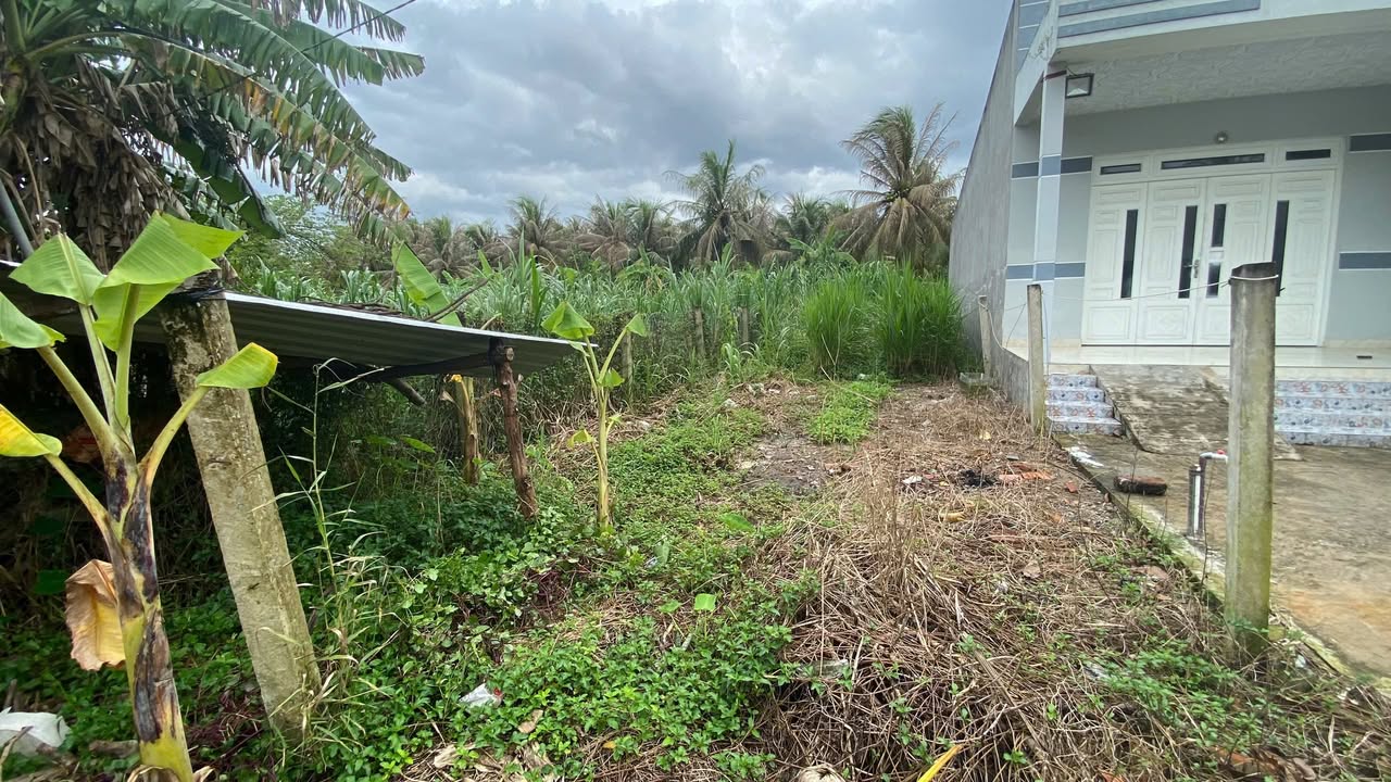 Đất nền Xã Phú Hưng, Bến Tre 134m² giá 699 triệu - Pháp lý rõ ràng, không quy hoạch!