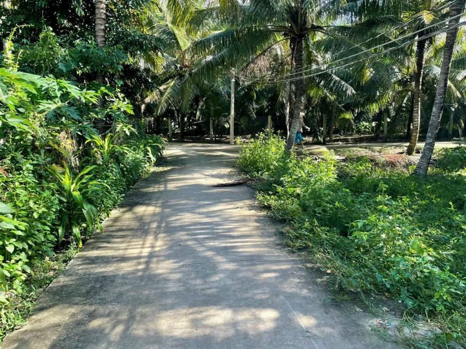 Đất thổ cư chính chủ xã Phú Vang, Bình Đại 546m² giá 5.85 tỷ - Đầu tư sinh lời tốt!