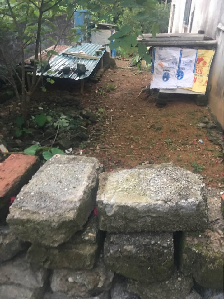 Đất thổ cư Tân Hà Tuyên Quang 121m² giá thỏa thuận - Vị trí thuận lợi và tiềm năng cao!